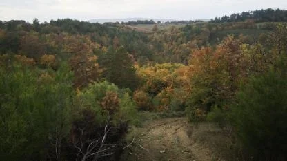 Yenice'de Kartpostallık Sonbahar! Yazar Şuayip Odabaşı Sofular ve Bekten Arası Manzaraları Paylaştı