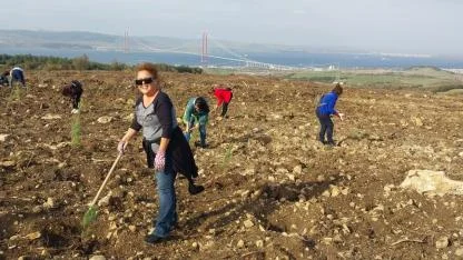Mülkiye 92 Mezunlarından Yanan Ormanlara Nefes: Kocaveli'de Hatıra Ormanı Kuruluyor!