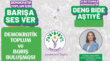 DEM Parti'den Çanakkale'de "Demokratik Toplum ve Barış Buluşması"