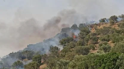 SON DAKİKA: Bozdoğan Yanıyor! Rüzgarın Etkisiyle Büyüyen Orman Yangınına Müdahale Sürüyor