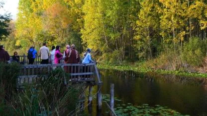 Tabiat harikaları arasında unutulmaz bir sonbahar yürüyüşü