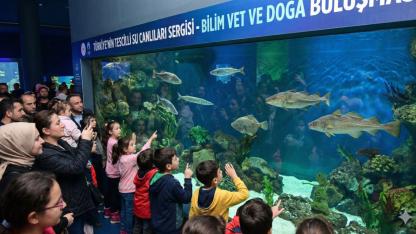 Tarım ve Orman Bakanlığı 7 Balık Türünü Tescilledi: İşte Listeye Giren Türler