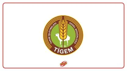 TİGEM Personeli İçin Önemli Gelişme: Görevde Yükselme ve Unvan Değişikliği Yönetmeliği Yenilendi!