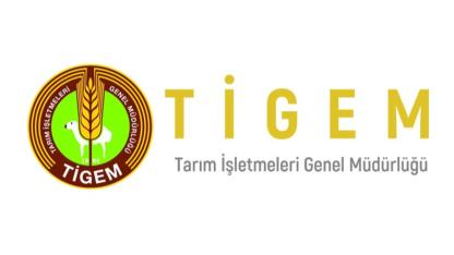 TİGEM'den Önemli Buğday Satışı İhalesi: 385 Ton Mahsul Açık Artırmayla Alıcı Bulacak!