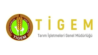 TİGEM'den Önemli Buğday Satışı İhalesi: 385 Ton Mahsul Açık Artırmayla Alıcı Bulacak!
