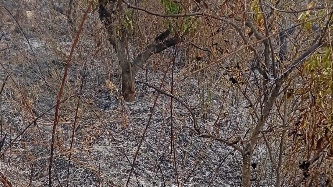 Yaşlı adam, bahçesini temizlemek için yaktığı ateşte hayatını kaybetti