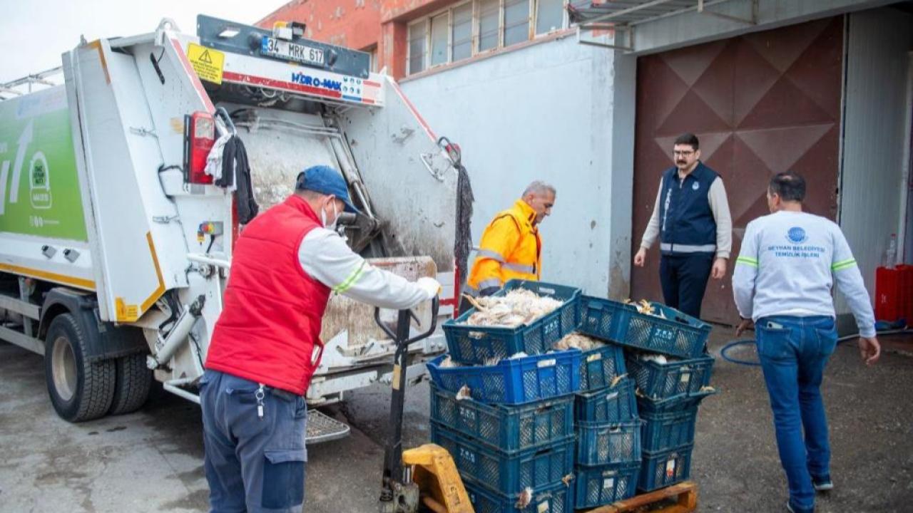 Adana&#039;da Akılalmaz Manzara: Kokmuş 25 Kasa Tavuk Ele Geçirildi!