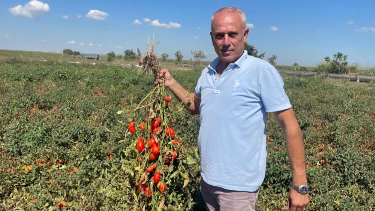 Adı "Seçim", Hikayesi Muhtarlık Yarışı: Dedesi Kazandı, Torunu İsmini Aldı