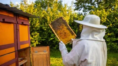 Arılı kovan desteklemesi askıya çıktı