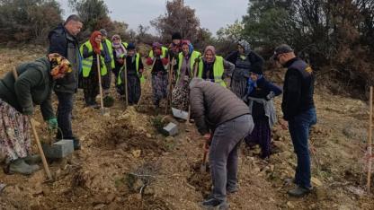 Bayramiç’te endüstriyel ağaçlandırma için iş başı eğitimi