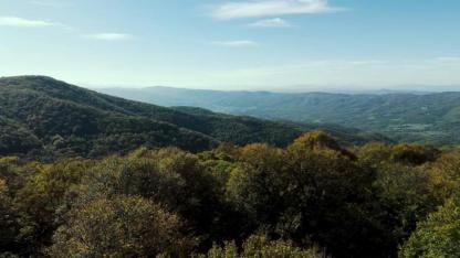 Biga ormanları sonbahar renklerine büründü