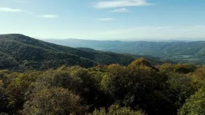Biga ormanları sonbahar renklerine büründü