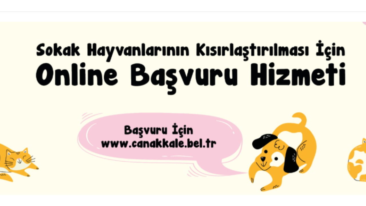 Çanakkale Belediyesi’nden sokak hayvanları için online kısırlaştırma başvurusu
