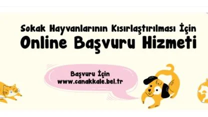 Çanakkale Belediyesi’nden sokak hayvanları için online kısırlaştırma başvurusu