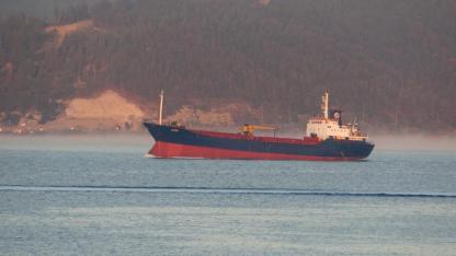 Çanakkale Boğazı sis nedeniyle transit gemi geçişlerine kapatıldı