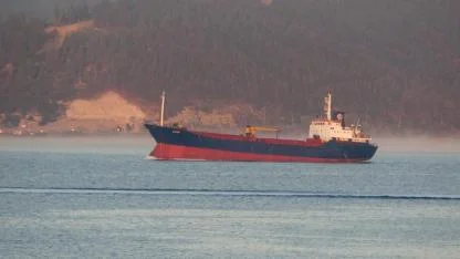 Çanakkale Boğazı sis nedeniyle transit gemi geçişlerine kapatıldı