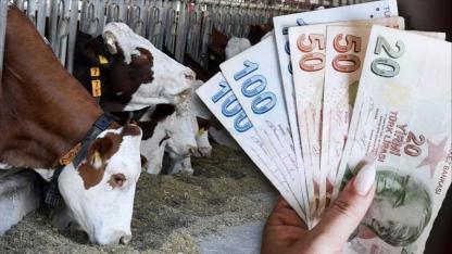 Çanakkale Çiftçisine Yılbaşı Müjdesi! 33 Milyon TL'lik Destek Ödemeleri Hesaplara Yatırıldı