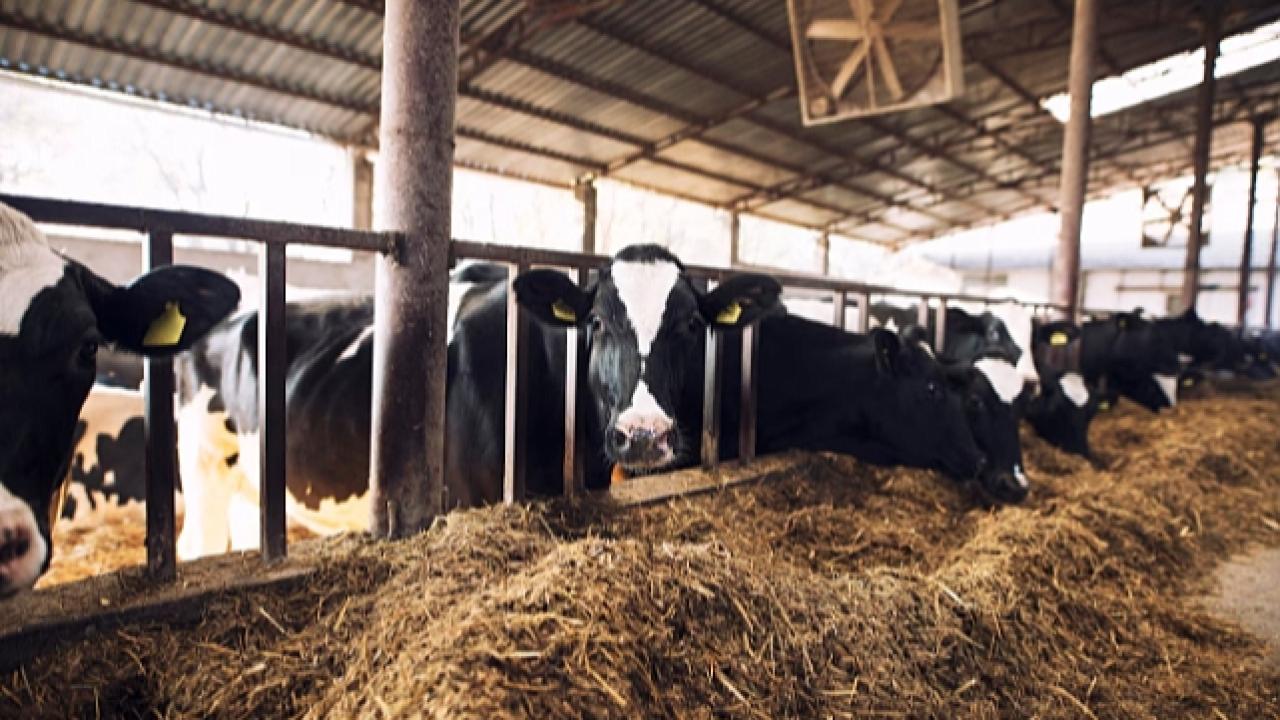 Çanakkale İl Tarım Müdürlüğü Duyurdu: Birinci Derece Tarımsal Örgütlenmenin Gücü