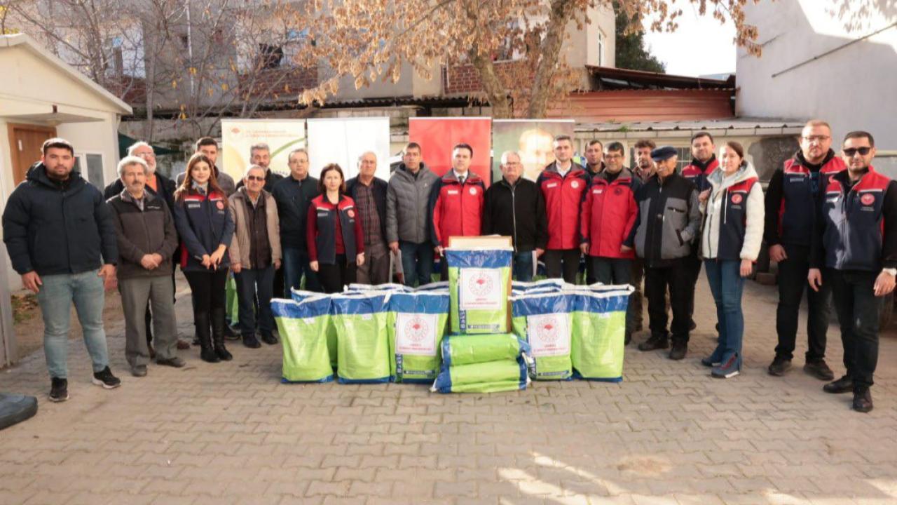Çanakkale Zeytininde "Mavi Mucize" Dönemi: Üreticiye Dev Destek Başladı!