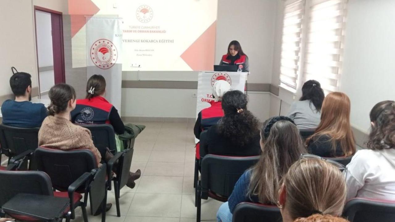 Çanakkale&#039;de kahverengi kokarca alarmı: Halk sağlığına etkileri masaya yatırıldı