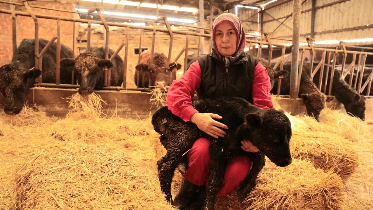 "Çanakkale’de Kırsal Bereket Başladı: İlk hayvanlar kadın üreticiye teslim edildi