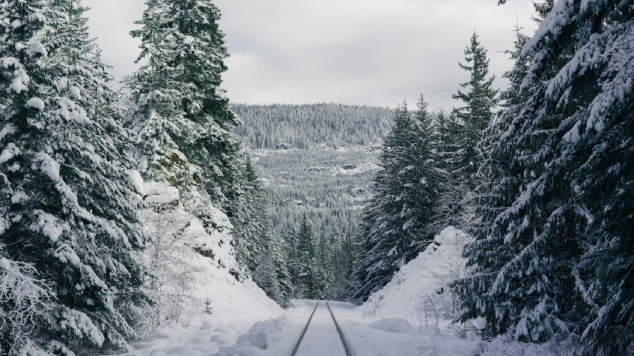 Doğa Takvimi Uyarıyor: Zemheri Soğukları ve Gün Dönümü Fırtınası Kapıda!