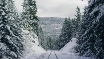 Doğa Takvimi Uyarıyor: Zemheri Soğukları ve Gün Dönümü Fırtınası Kapıda!