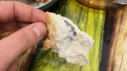 Ekmeği Isırdı, Gördüğü Şeye İnanamadı: "Ölümden Döndük!"