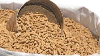 Gıdadan Yeme Büyük Dönüşüm: İnsan Tüketimine Sunulamayan Gıdalar Hayvanları Besleyecek!