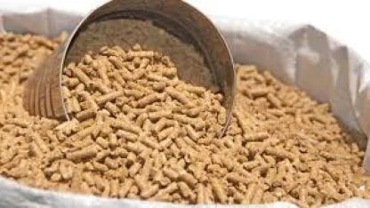 Gıdadan Yeme Büyük Dönüşüm: İnsan Tüketimine Sunulamayan Gıdalar Hayvanları Besleyecek!