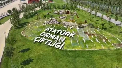 İş Dünyasının Gözü Bu İhalede: Atatürk Orman Çiftliği, Etimesgut’taki Dev Depo Alanını Kiraya Veriyor!