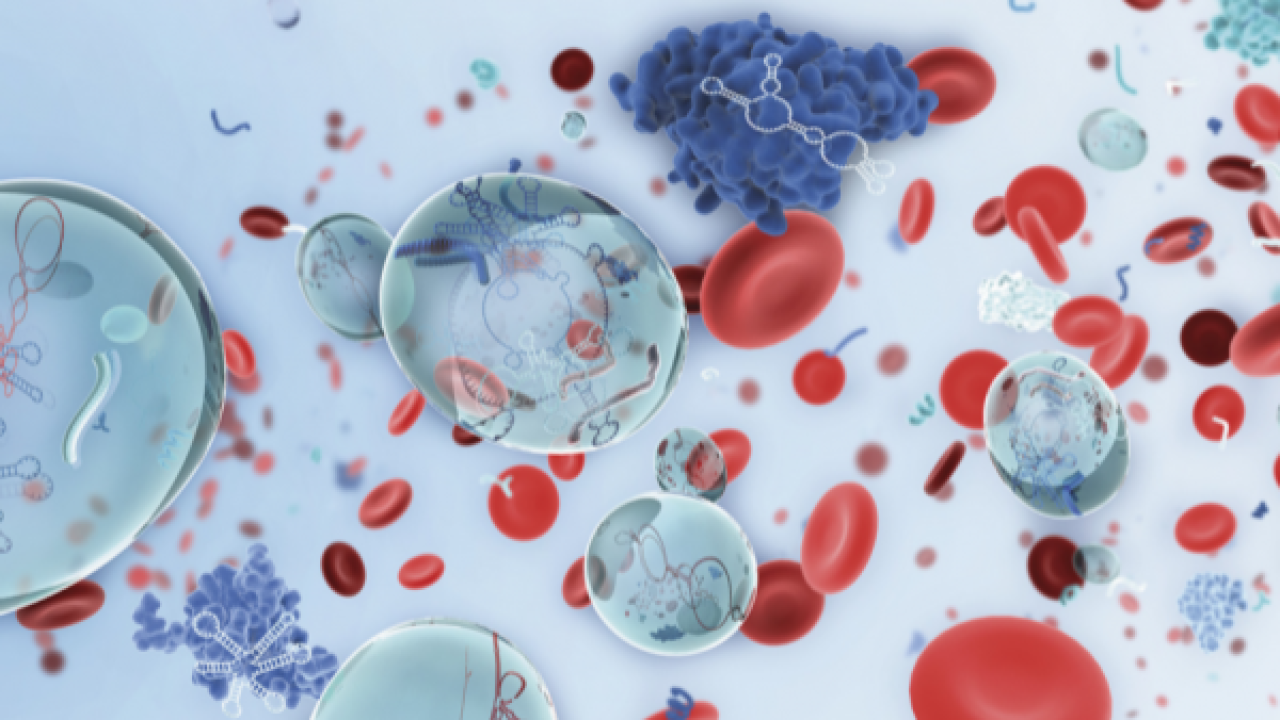 Kansere Karşı Yeni Silah: Hastalıkların Şifresi Bu Merkezde Çözülüyor! Moleküler Patoloji Dönemi Başladı!