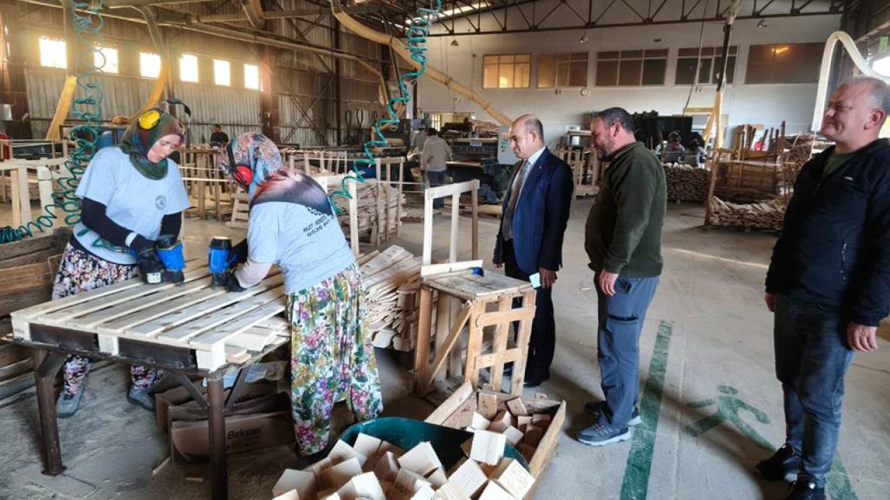 Kaymakam Dr. Emre Nebioğlu, Kereste İşletmesinde İncelemelerde Bulundu!