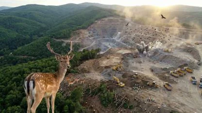 Kazdağları’nın Celladı Değişti: Kanadalı Gitti, Talanın ‘Yerlisi’ Geldi!