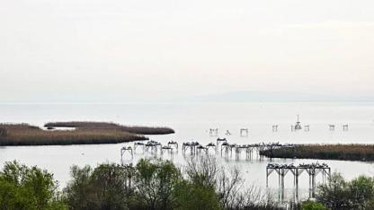 Manyas Kuş Cenneti sanayi kuşatması altında!
