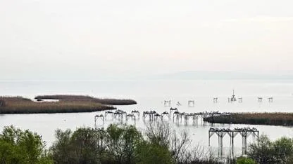 Manyas Kuş Cenneti sanayi kuşatması altında!
