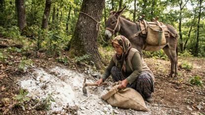 Mucize mi, Pazarlama Efsanesi mi? Diyatome Toprağı Hakkında Bilinmesi Gereken Her Şey