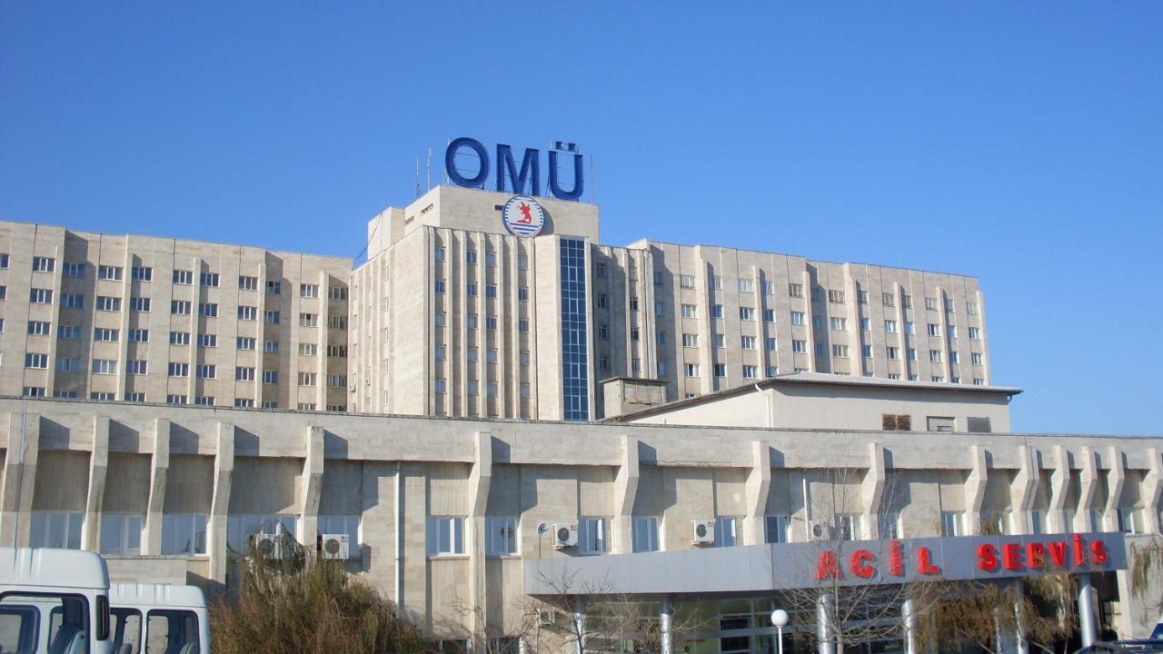 Ondokuz Mayıs Üniversitesi’nden Nitelikli Kadro İlanı: "Video Oyun Folkloru"ndan "Yapay Zekaya" Özel Alanlar