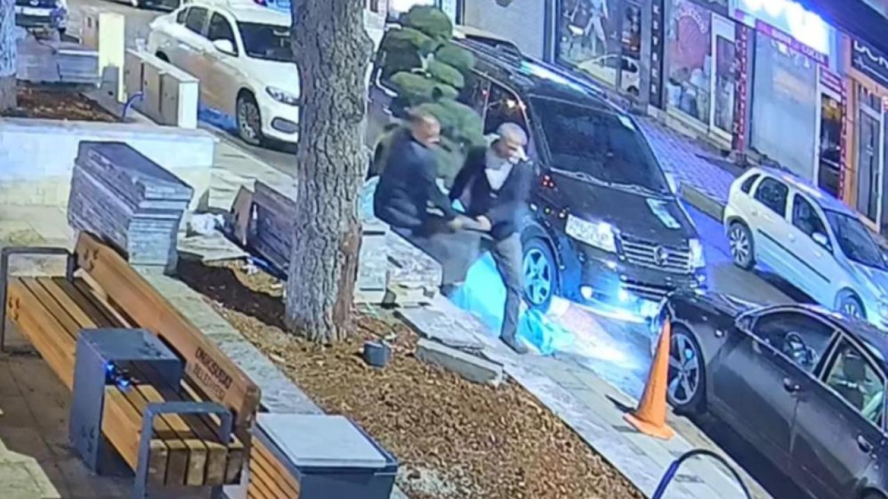 Parktan ağaç çaldılar! O anlar güvenlik kamerasında