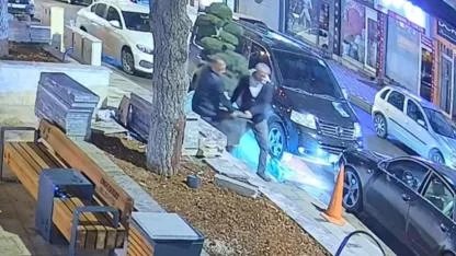 Parktan ağaç çaldılar! O anlar güvenlik kamerasında