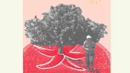 Bozcaada'da Ayın Belgeseli: 'Domates, Biber, Depresyon' izleyiciyle buluşuyor