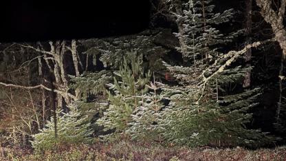 Çanakkale'de mevsimin ilk karı düştü! Terzialan Kule bölgesinde kar yağışı başladı