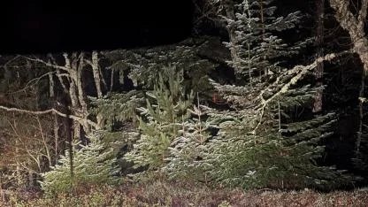 Çanakkale'de mevsimin ilk karı düştü! Terzialan Kule bölgesinde kar yağışı başladı