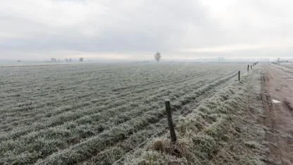 Çanakkale'de zirai don alarmı!