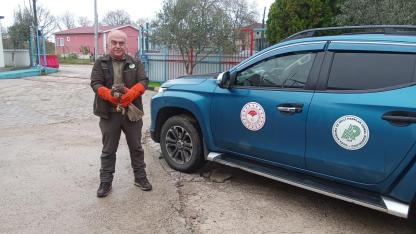 Yaralı şahin tedavi edilmek üzere Doğa Koruma ekiplerine teslim edildi