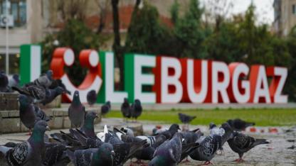 Yatırım Fırsatı: Lüleburgaz Belediyesi’nden 6 Adet Arsa Satışı İhalesi!