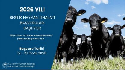 2026 Yılı Besilik Hayvan İthalatı başvuruları başlıyor