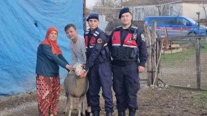 Biga’da Kaybolan Sürüyü Jandarma Buldu: 24 Küçükbaş Hayvan Sahibine Teslim Edildi