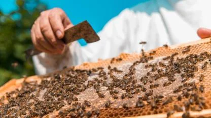 Çanakkale’de Üreticiye Dev Destek! 13 Milyon TL’ye Yakın Ödeme Hesaplara Yattı