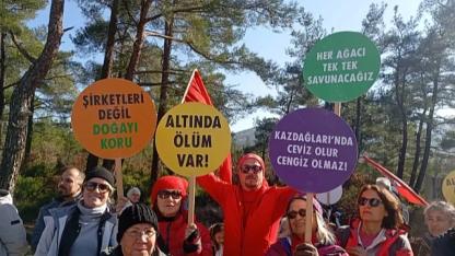 Kazdağları Kazandı: Halilağa Bakır Madeni İşletme İzni İptal Edildi!